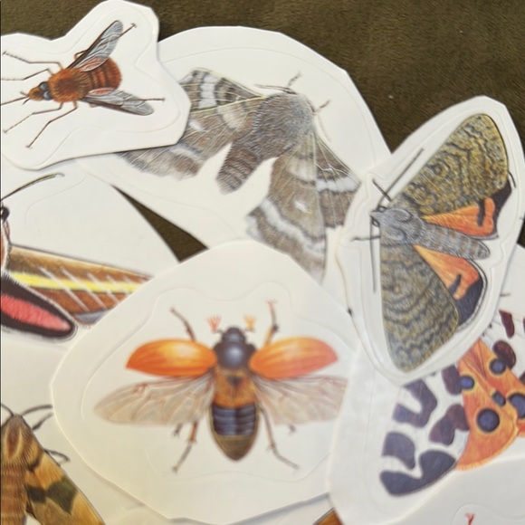 15 Colorful Insect Sticker Set - Picture 4 of 6